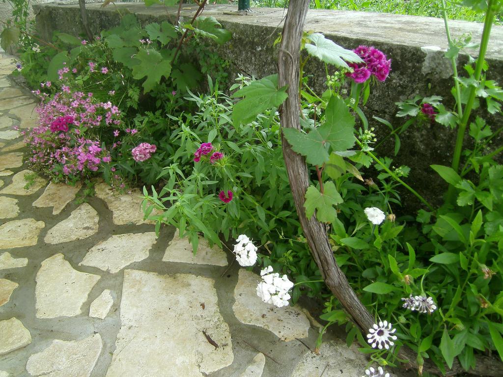 Holiday Home Lorraina Štivan Εξωτερικό φωτογραφία